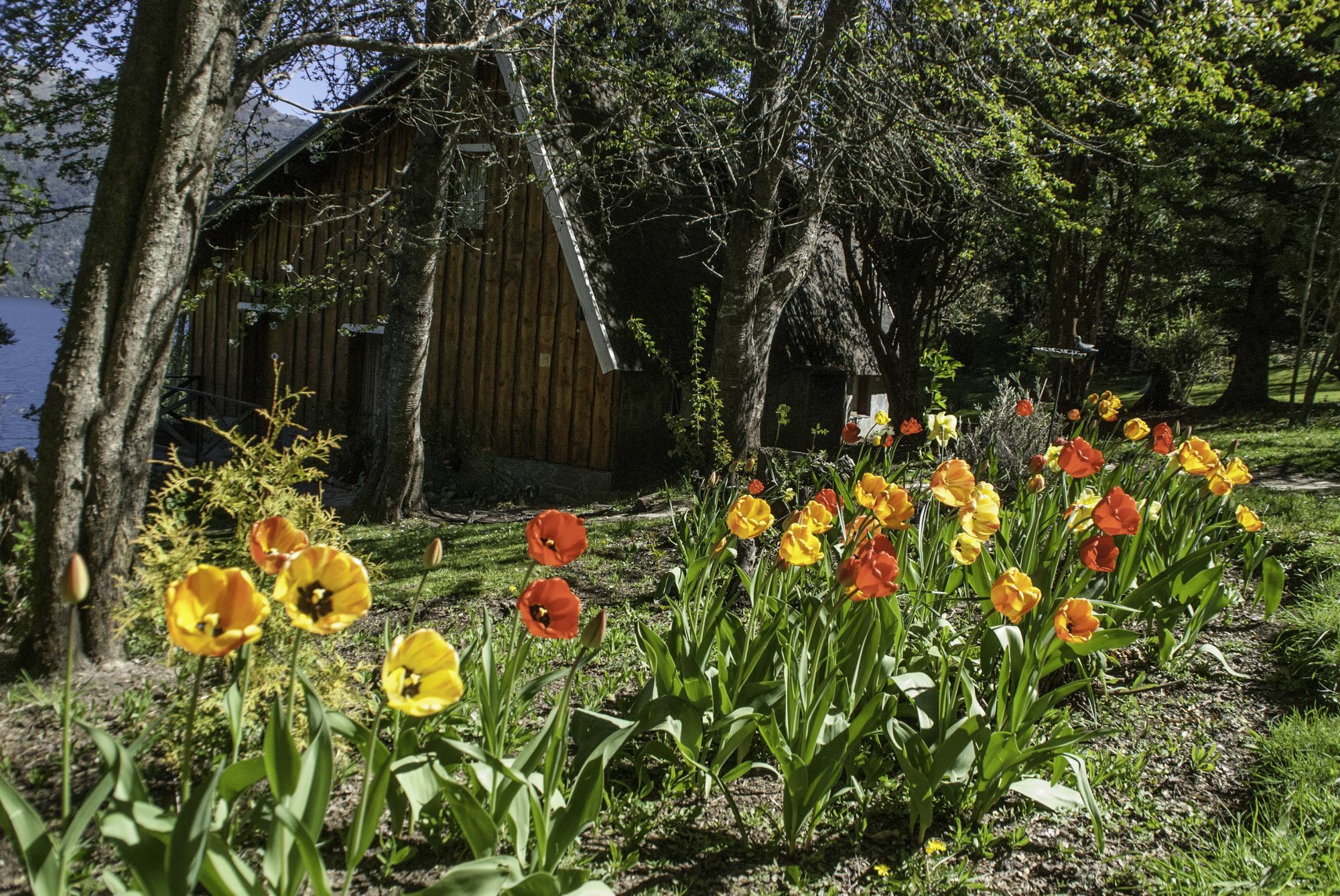 Cabanas Villa Panil San Carlos de Bariloche Exterior photo